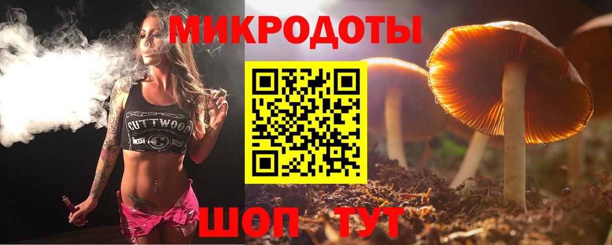 Псилоцибиновые грибы Psilocybine cubensis Мирный